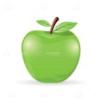 Illustrated Green Apple